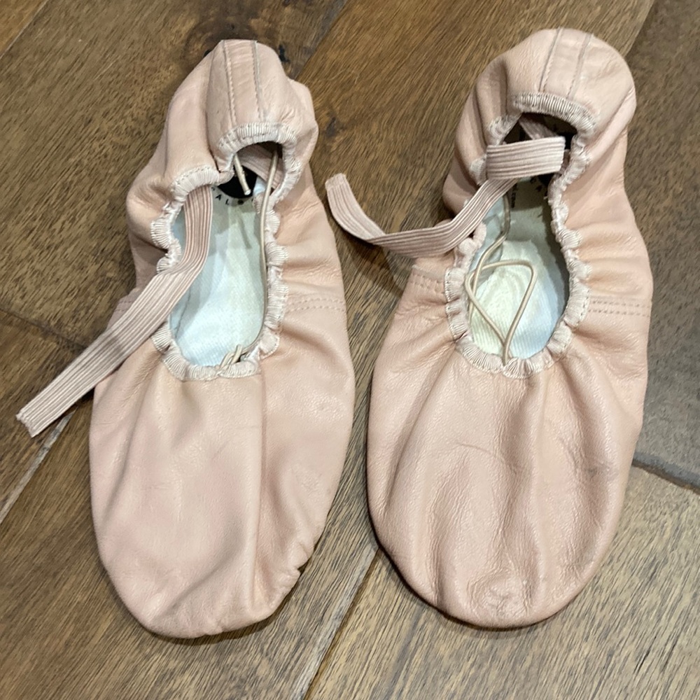 Illinois Theaterical ballet slippers